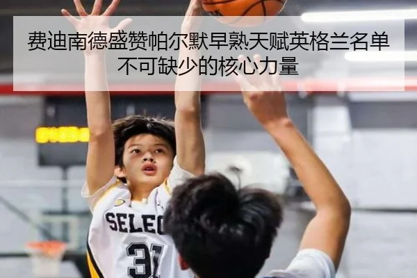 费迪南德盛赞帕尔默早熟天赋英格兰名单不可缺少的核心力量